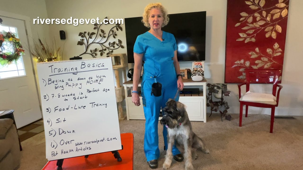 The Adventures of Dr. Karla & Mick: Basic Puppy Training