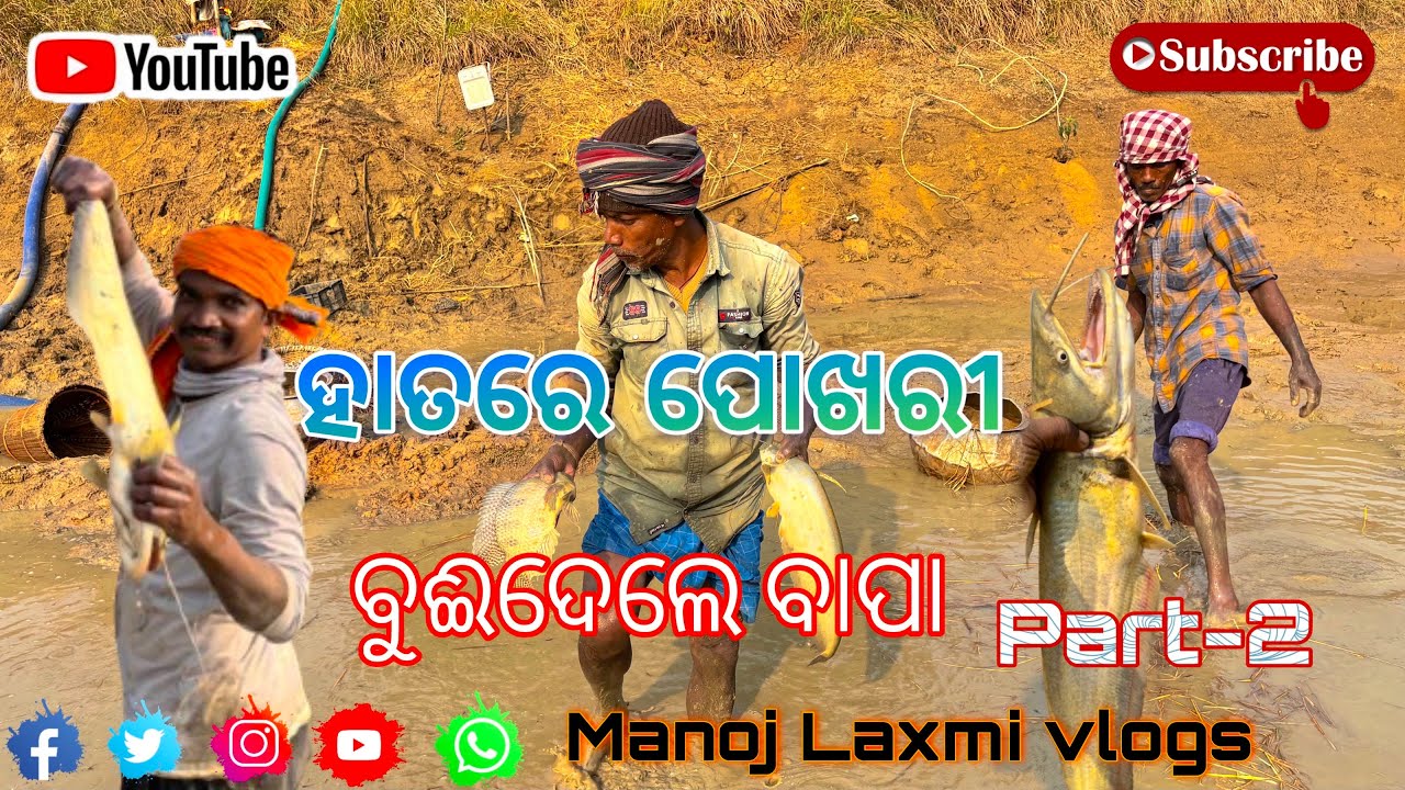 ବାପ୍‌ରେ କି ମାଛ🐟#odisha #village #fishing #trending #vlogs 