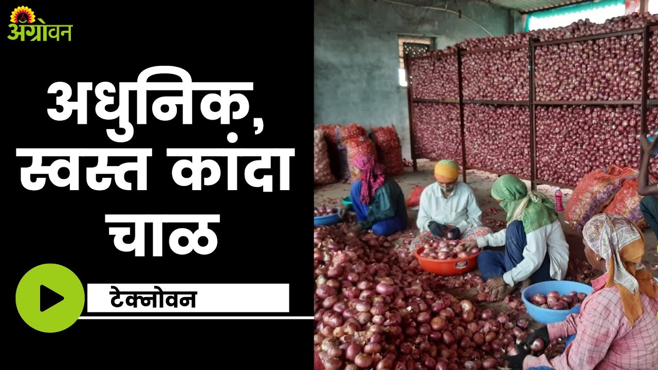 Kanda Chal : आधुनिक पद्धतीने कांदा चाळ कशी बनवायची ? | ॲग्रोवन