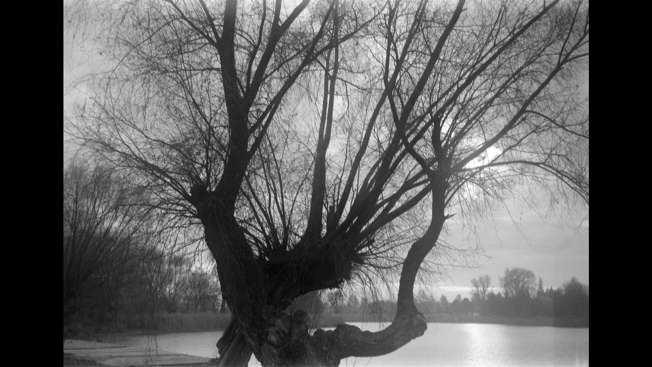 Black and white photography with Voigtlander Bessa 6x9 film camera