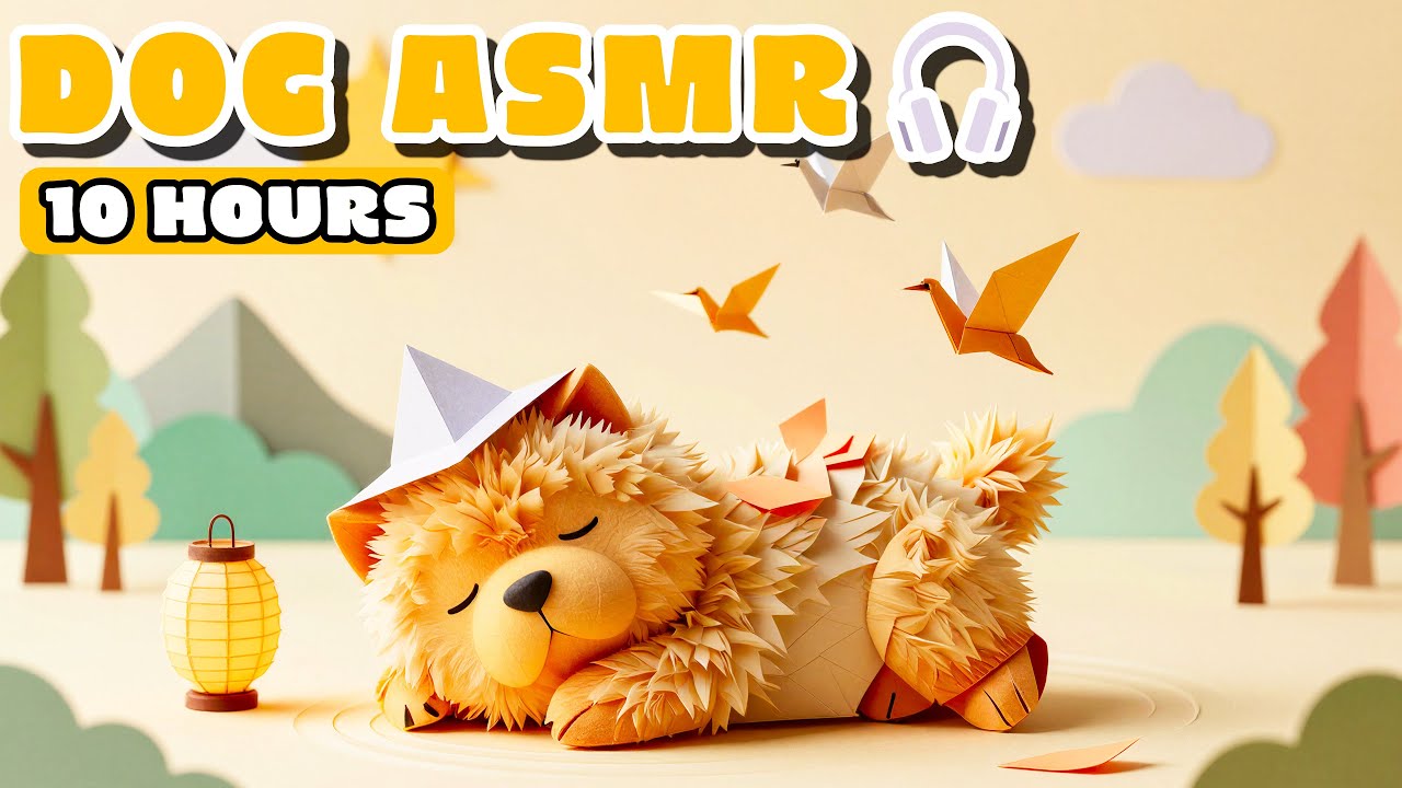 10 HOURS Sensory ASMR for Dogs 📄 Paper Sounds to Trigger 