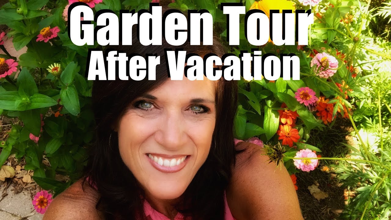 Garden Tour - The State of the Garden After Vacation: Assess and Prioritize