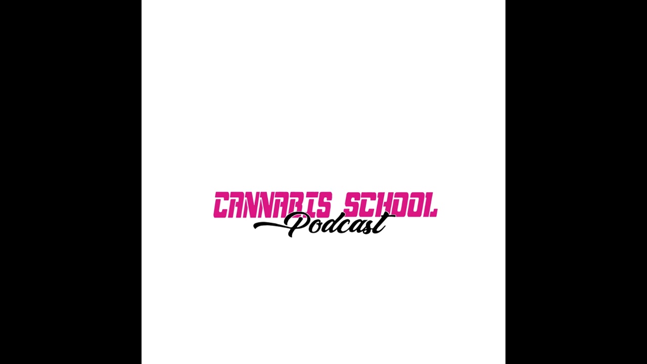 Kyle Trevor on Creativity, Cannabis, and Listening to Yourself