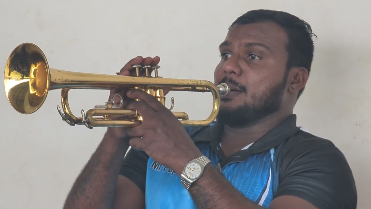 Papare Band in Sri Lanka | +947O3638738 | 4k | පපරේ බෑන්ඩ් | Colombo Papare Band Contact Number 