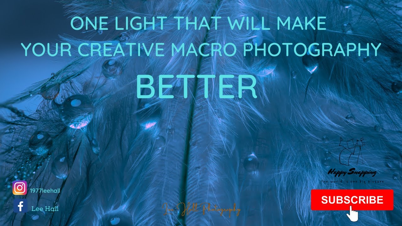 How to get better creative looking light for macro photography