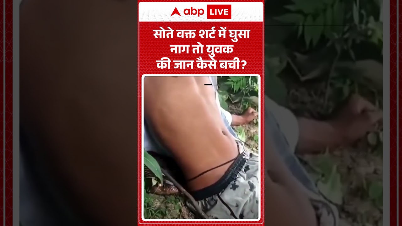 Viral News :सोते वक्त शर्ट में घुसा नाग तो युवक की जान कैसे बची| latest news | Viral Video | #shorts