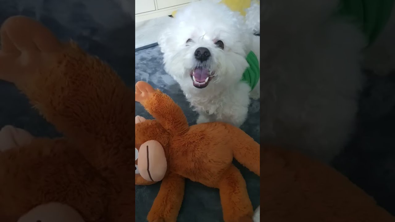 고기우리두부 라이브 스트리밍 중
