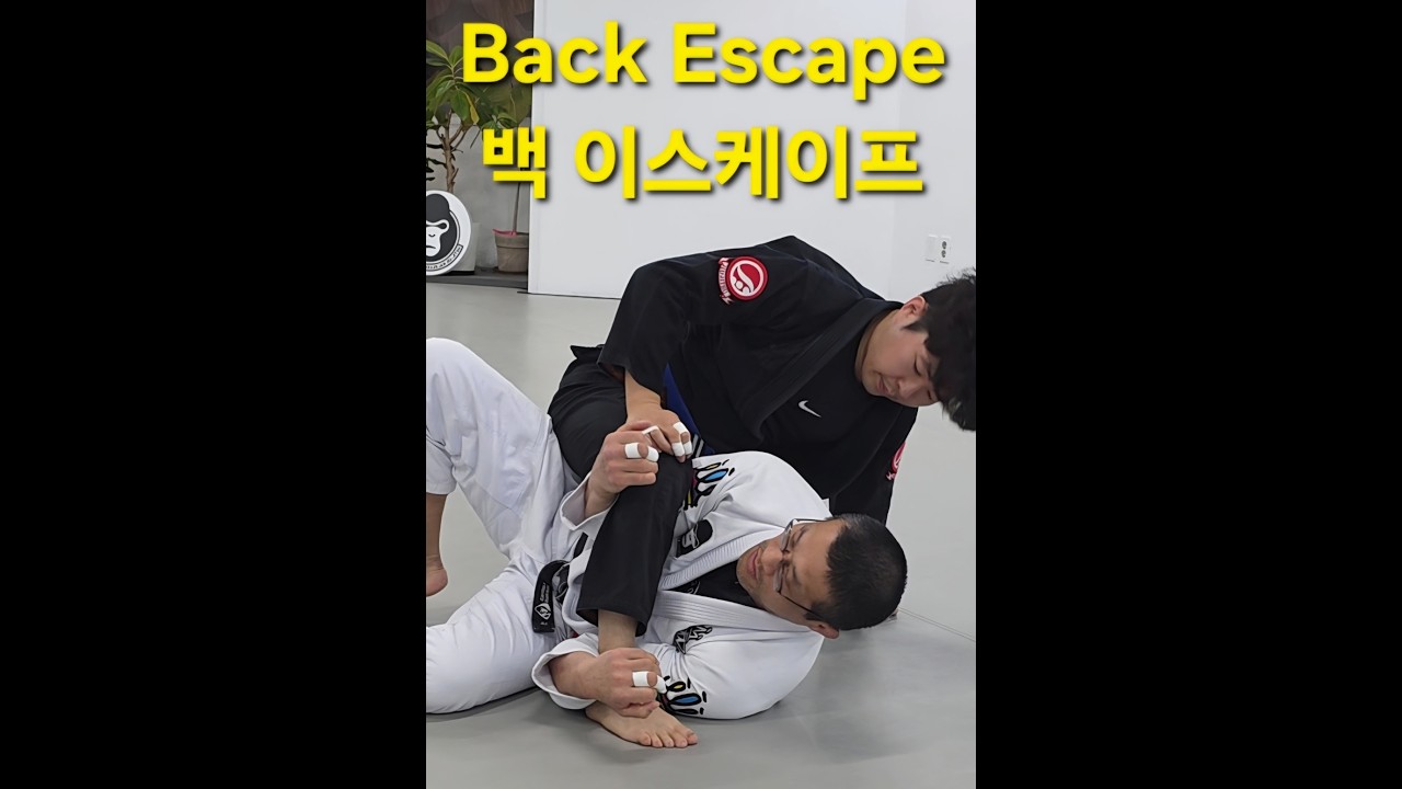 백 이스케이프 Back Escape (기술도움 : 이동환) #백이스케이프 #backescape