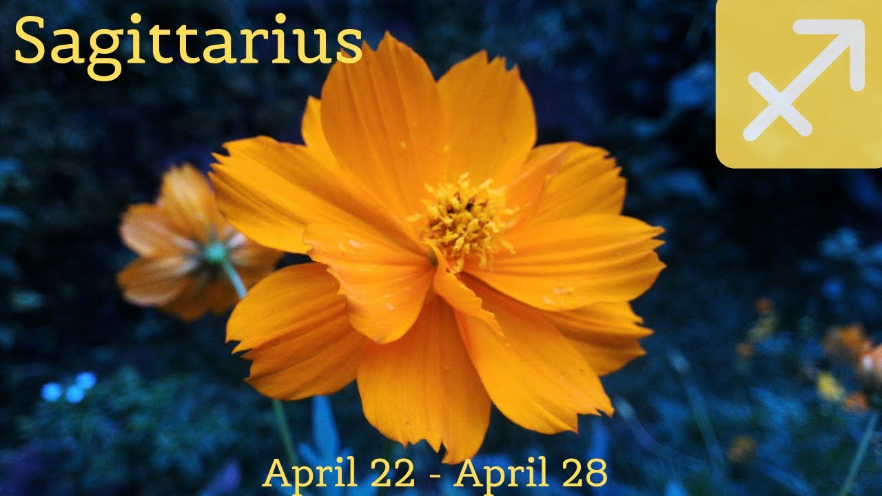 Sagittarius♐ -New insights about the past,& someone is wanting to come forward but they are nervous!