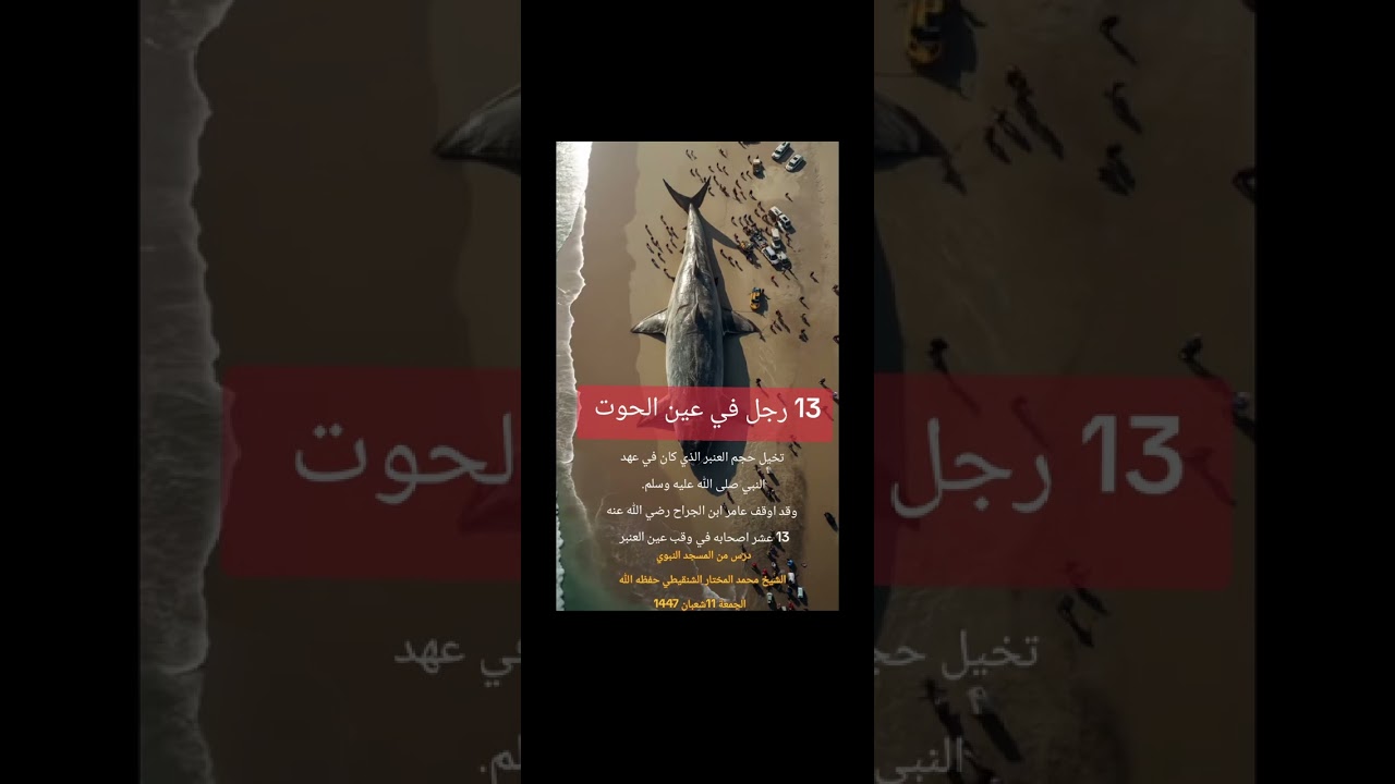 تخيل حجم العنبر الحوت الذي كان في عهد النبي عليه الصلاة والسلام .  صوت الشيخ محمد المختار الشنقيطي 