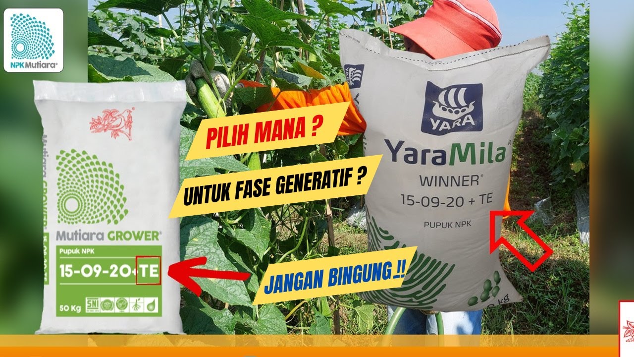 Bagus Mana ??? Pupuk Yaramila Winner vs NPK Mutiara Grower Untuk Fase Generatif Tanaman Cabai Dll