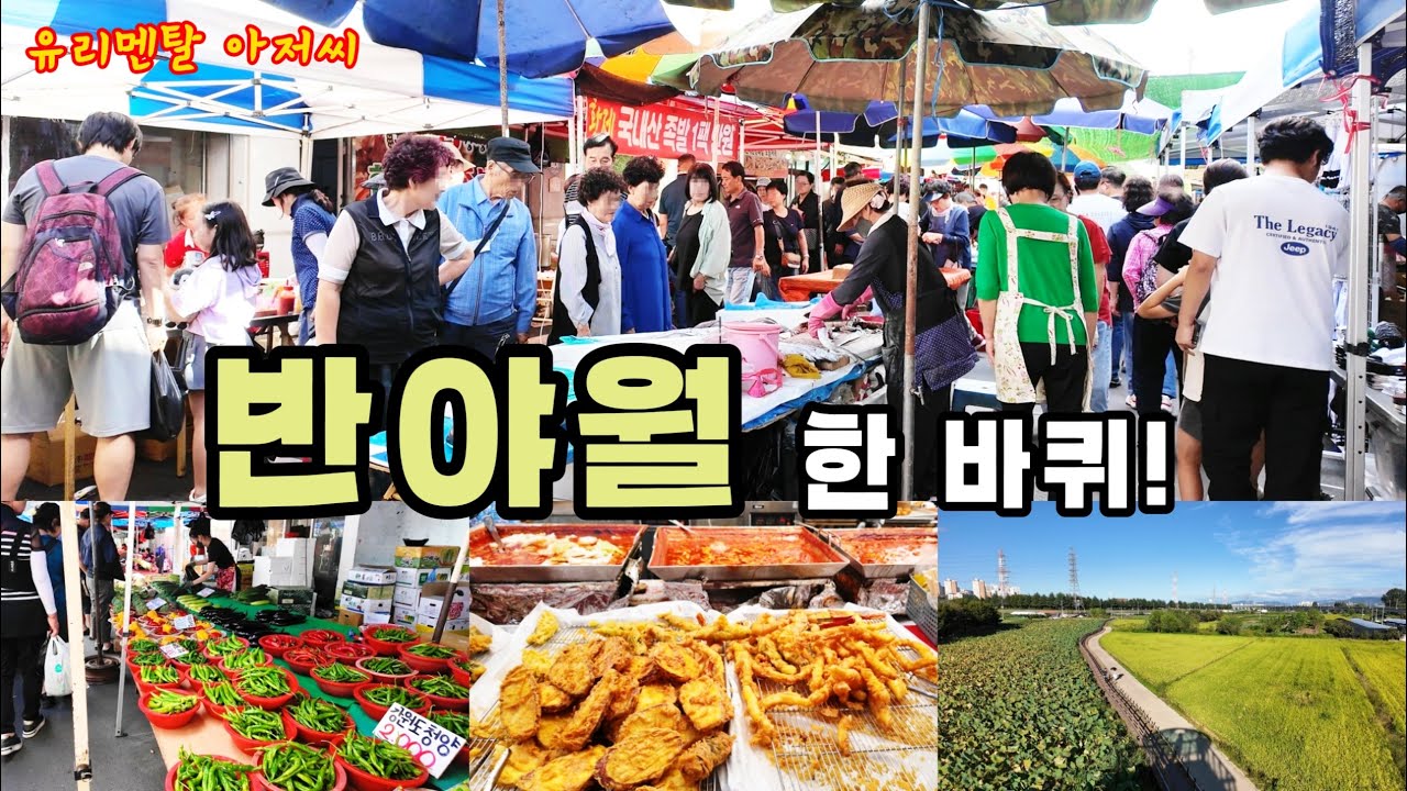 정이 넘치는 '반야월5일장' 구경│'연꽃단지' 힐링까지!! - 유리멘탈 아저씨의 식도락 vlog / KOREA FOOD