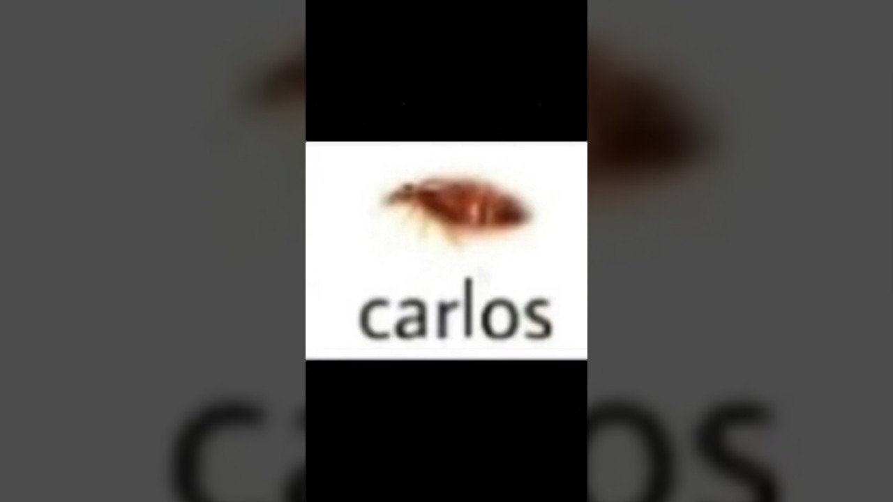 si te r&iacute;es tienes el humor roto parte 2 #shorts