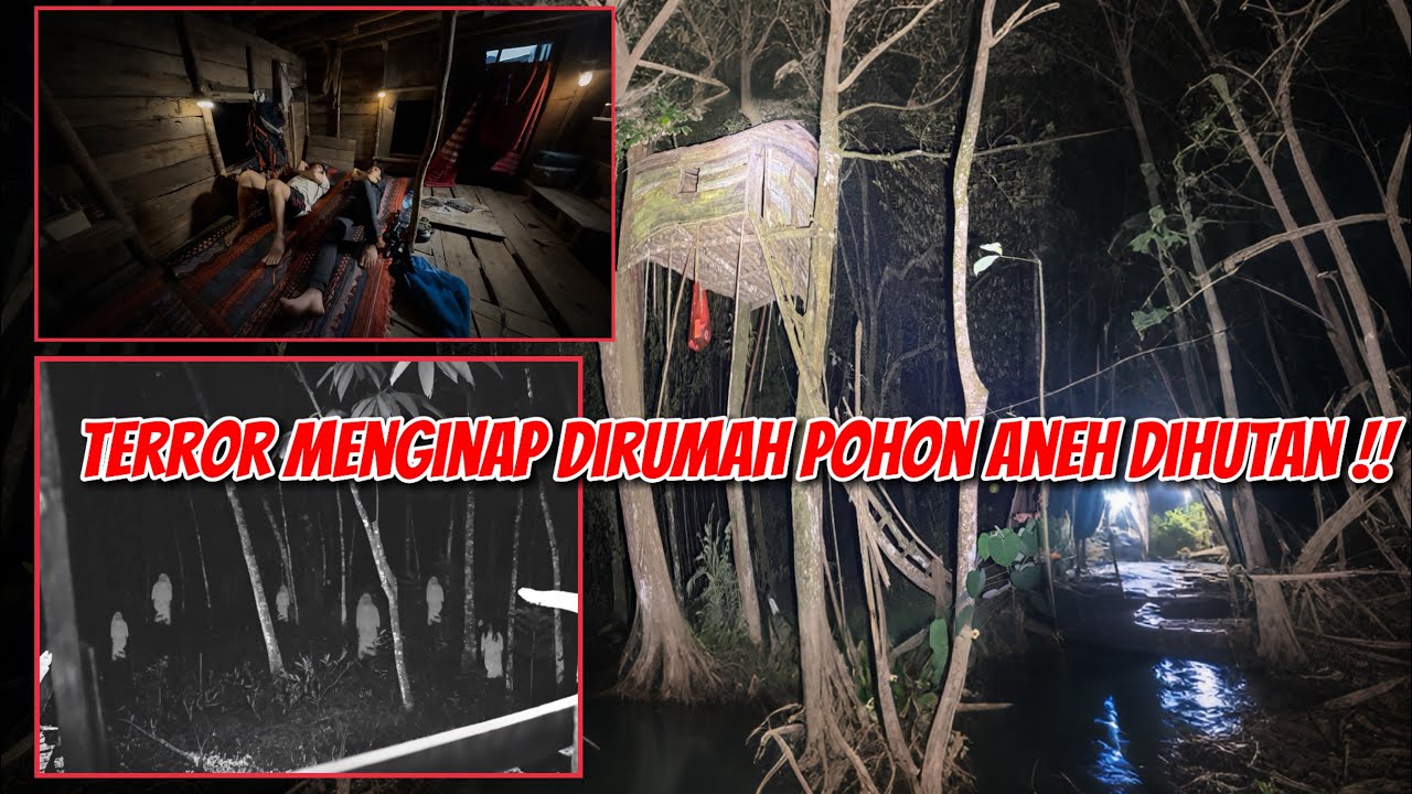 TENGAH MALAM BANYAK ORANG DATANG!!! MENGINAP DIRUMAH POHON HUTAN BELANTARA