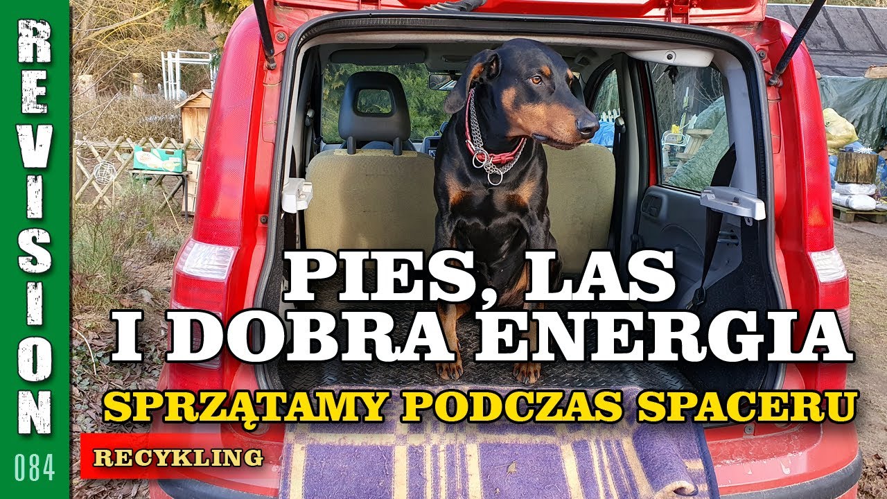 PIES, LAS I DOBRA ENERGIA #084 - sprzątamy podczas spaceru