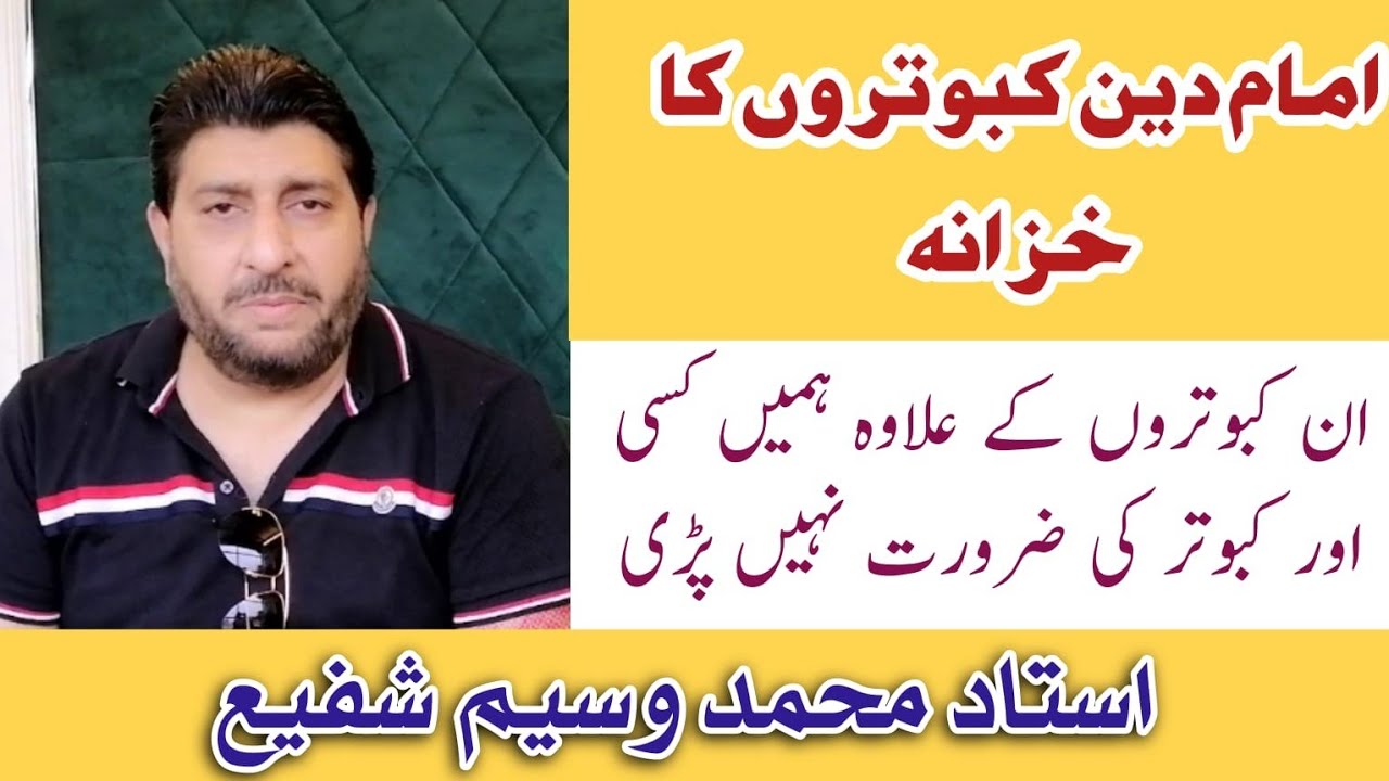 Imam Deen Royal Kamagar Kabootar Hein