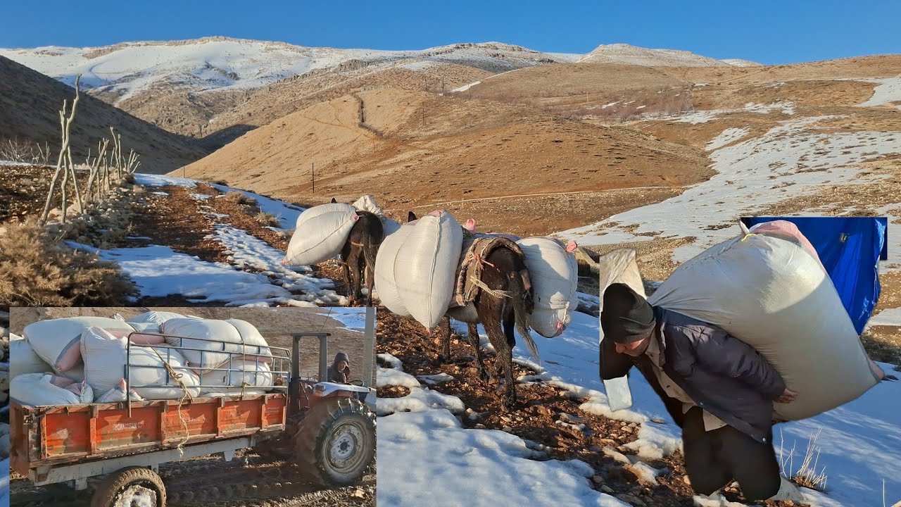 When we got stuck in the snow... | Carrying fodder with donkeys on dangerous mountain paths