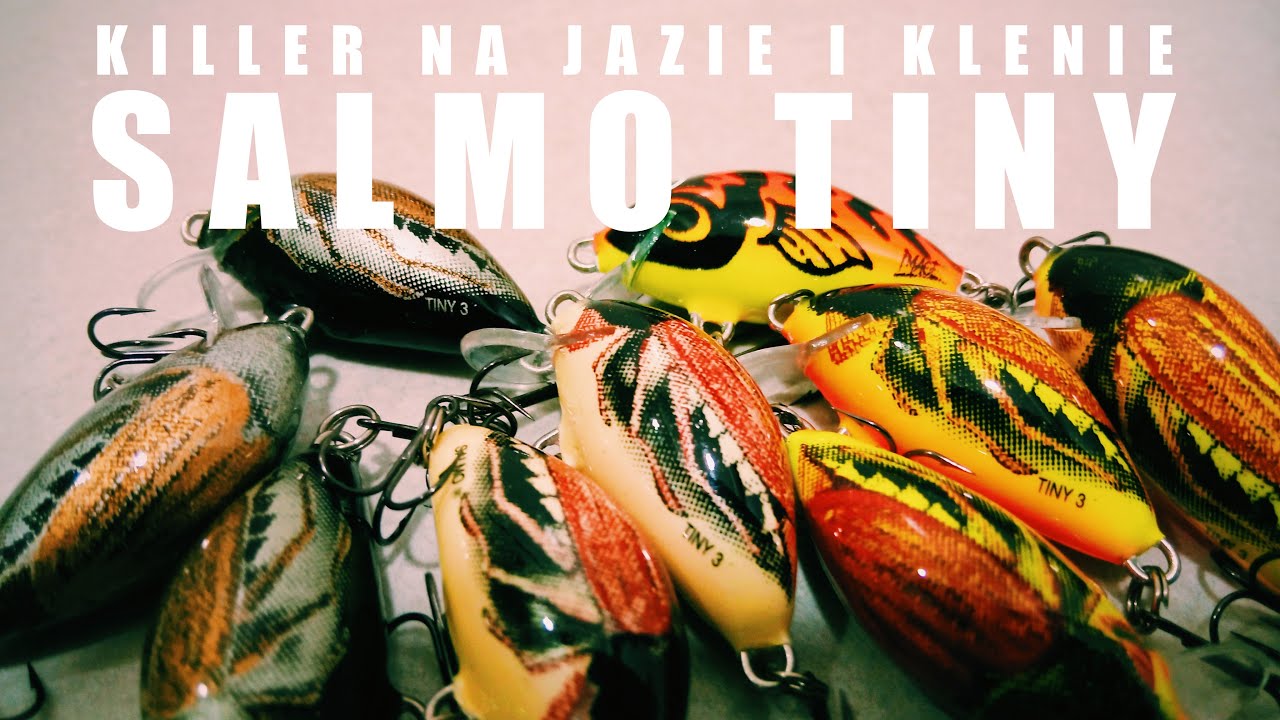 Salmo Tiny - killer na jazie i klenie