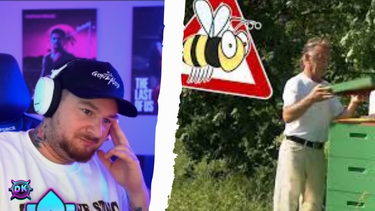 HAFTBEFEHL FÜR EINEN IMKER🐝😂DerKeller REAGIERT auf REALER IRRSINN🤦‍♂️😂| Der Keller Stream Highlights