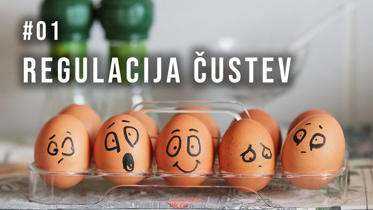 Pogovori s Sanjo: Regulacija čustev