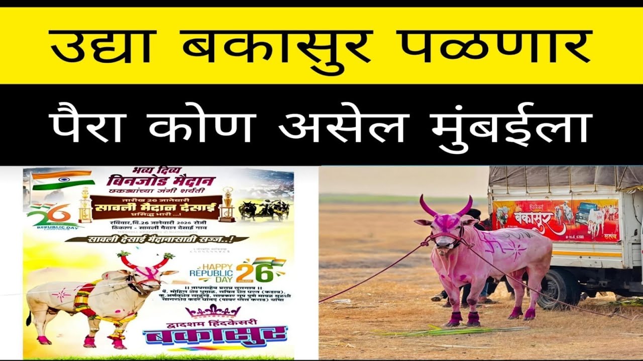 बकासुर महाराज उद्या मुंबई मध्ये बिनजोड साठी जाणार. कोण असेल ? उद्या मोठे मैदान बिनजोड चे
