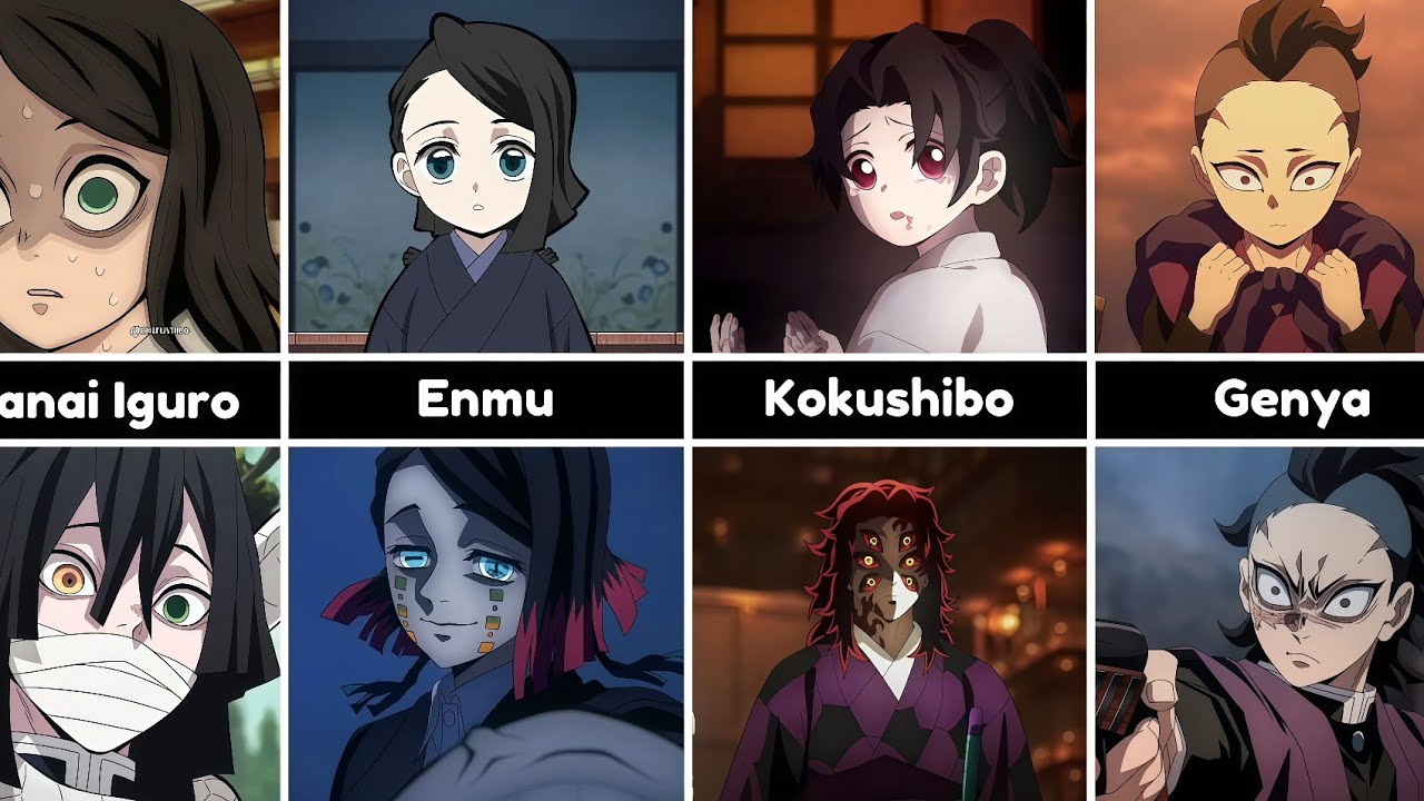 Demon Slayer As Kids || Anime Gotcha
