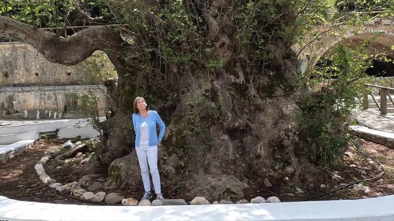 Older Than History Itself | A Living Giant on Crete