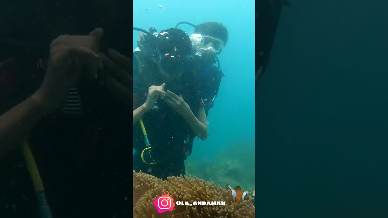 Boat Scuba diving at Tribe Gate Havelock Island