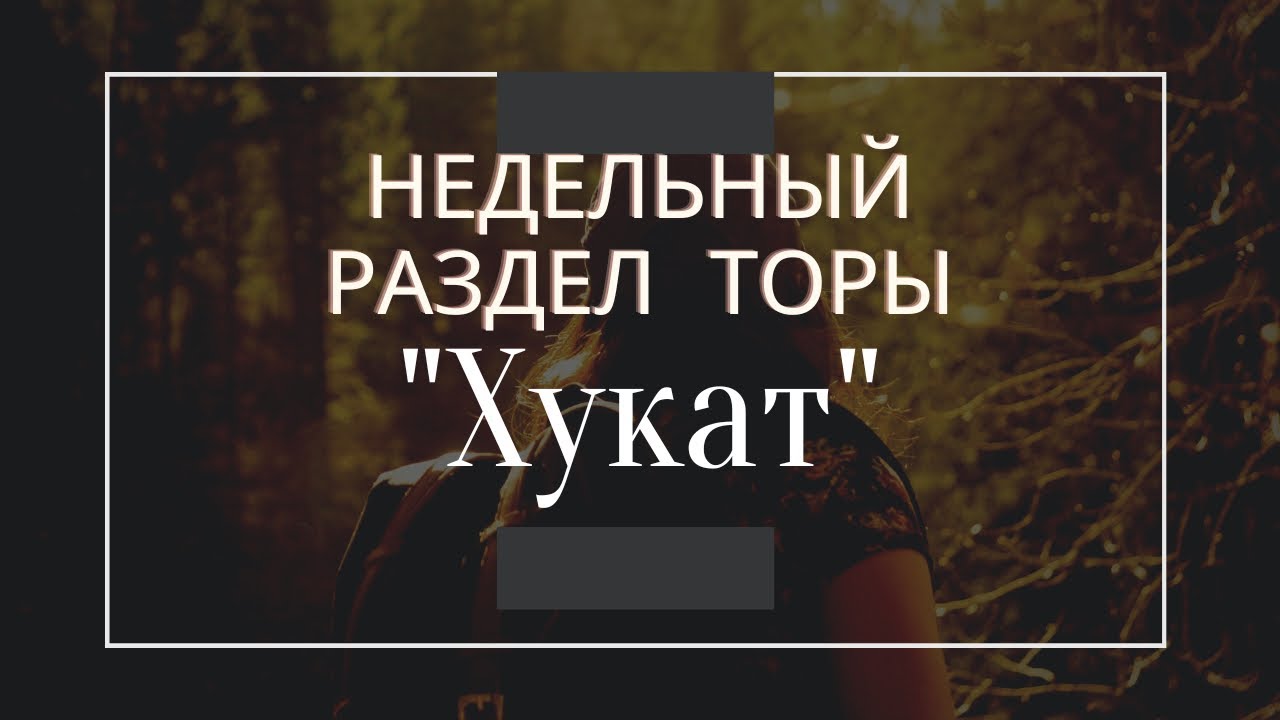 Недельный раздел Торы 
