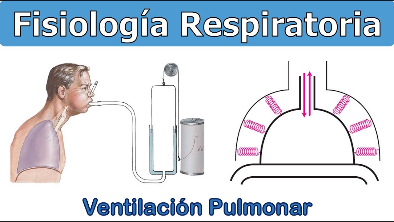 VENTILACIÓN - FISIOLOGÍA RESPIRATORIA