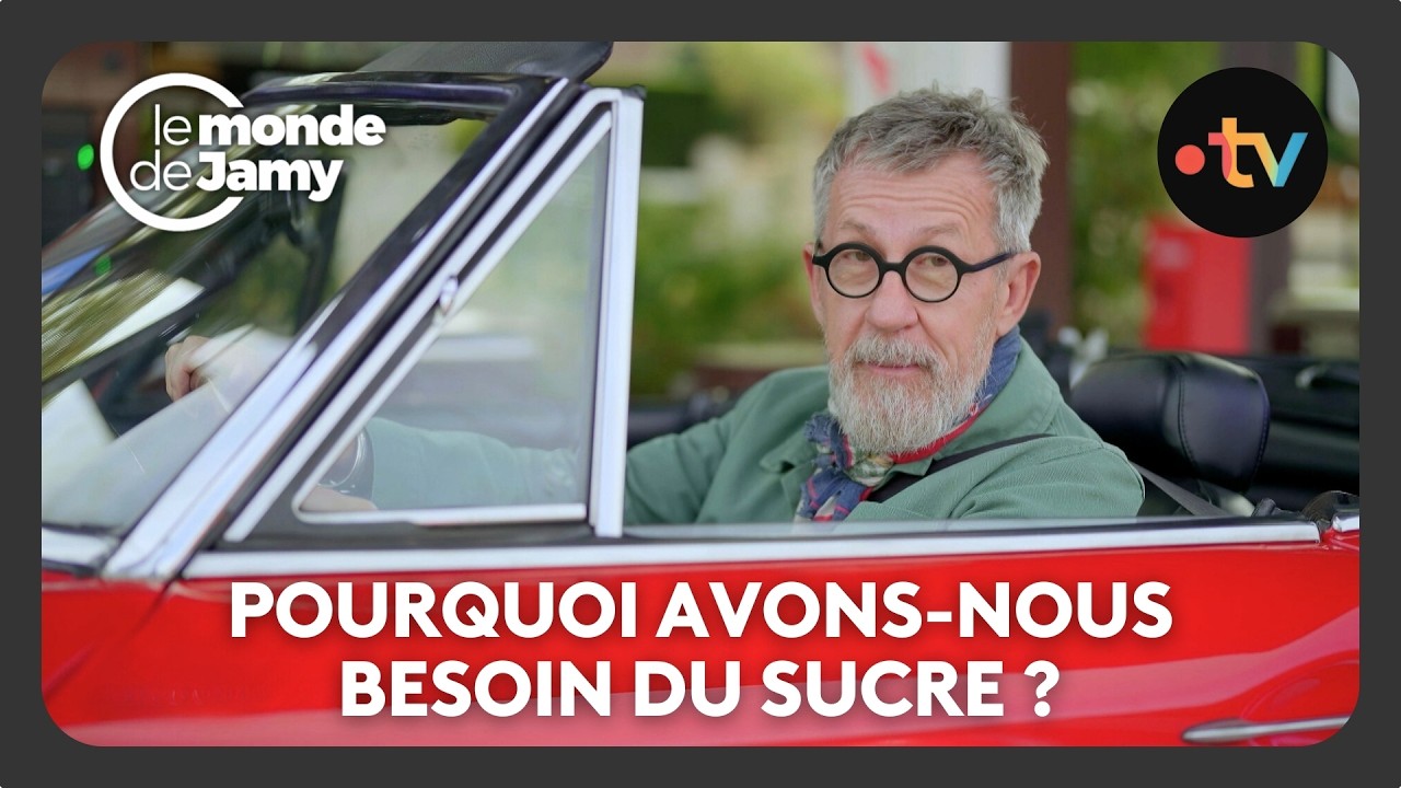 Sucre : pourquoi sommes-nous programm&eacute;s pour l&rsquo;aimer ? - Le monde de Jamy