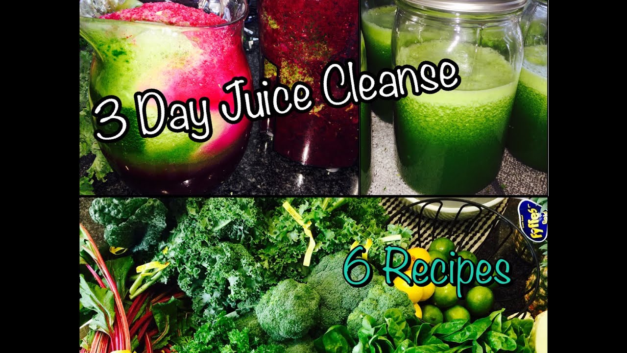 3 Day Juice Cleanse!! | 6 Juice Recipes!!