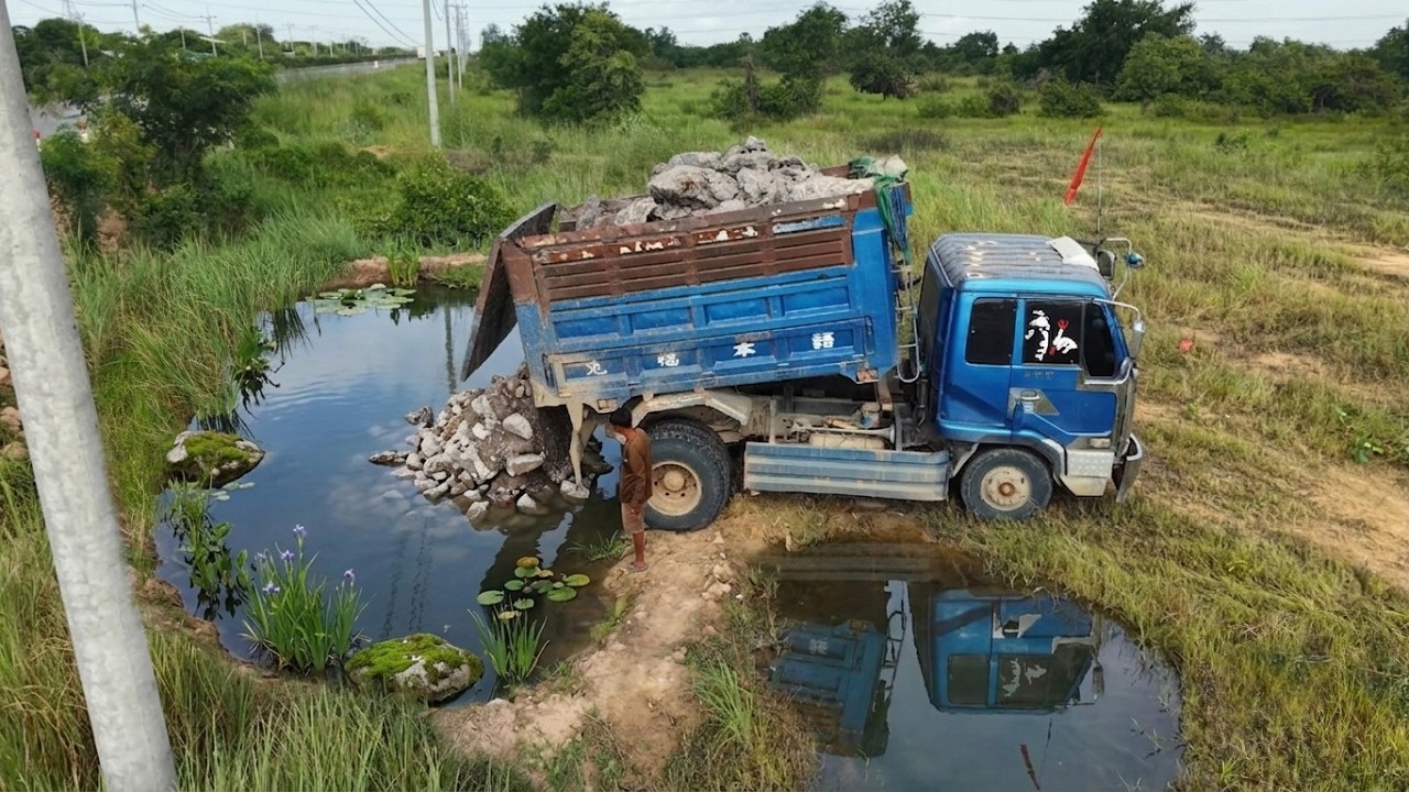 Perfectly Started A New Project! Using DumpTruck Filling Land,Fast Skillful Dozer D31A Pushing Soil 