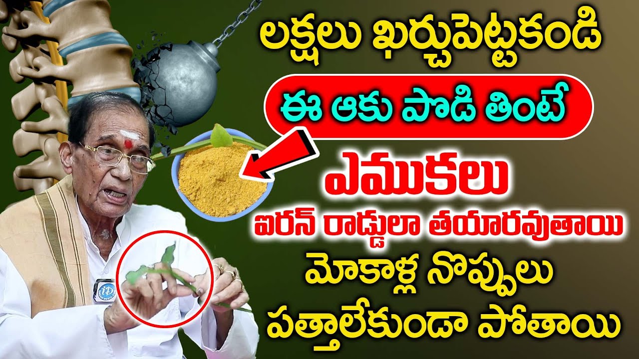 ఎముకలను ఇనుప సువ్వలు కంటే గట్టిగా చేసే ఆకు || Increase Bone Strengt || Dr BA Venkata Swamy || iDream