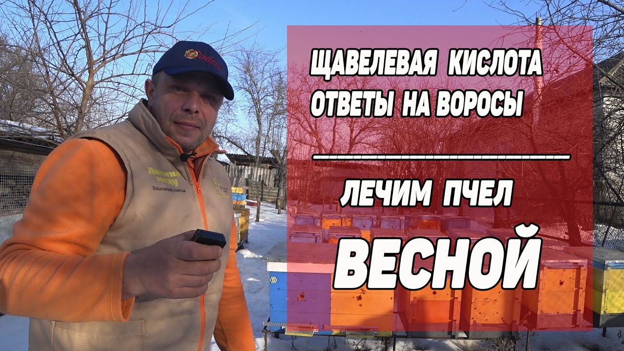 Щавелевая Кислота. Ответы на вопроси. Обработка пчел Весной. ВИДЕО #3