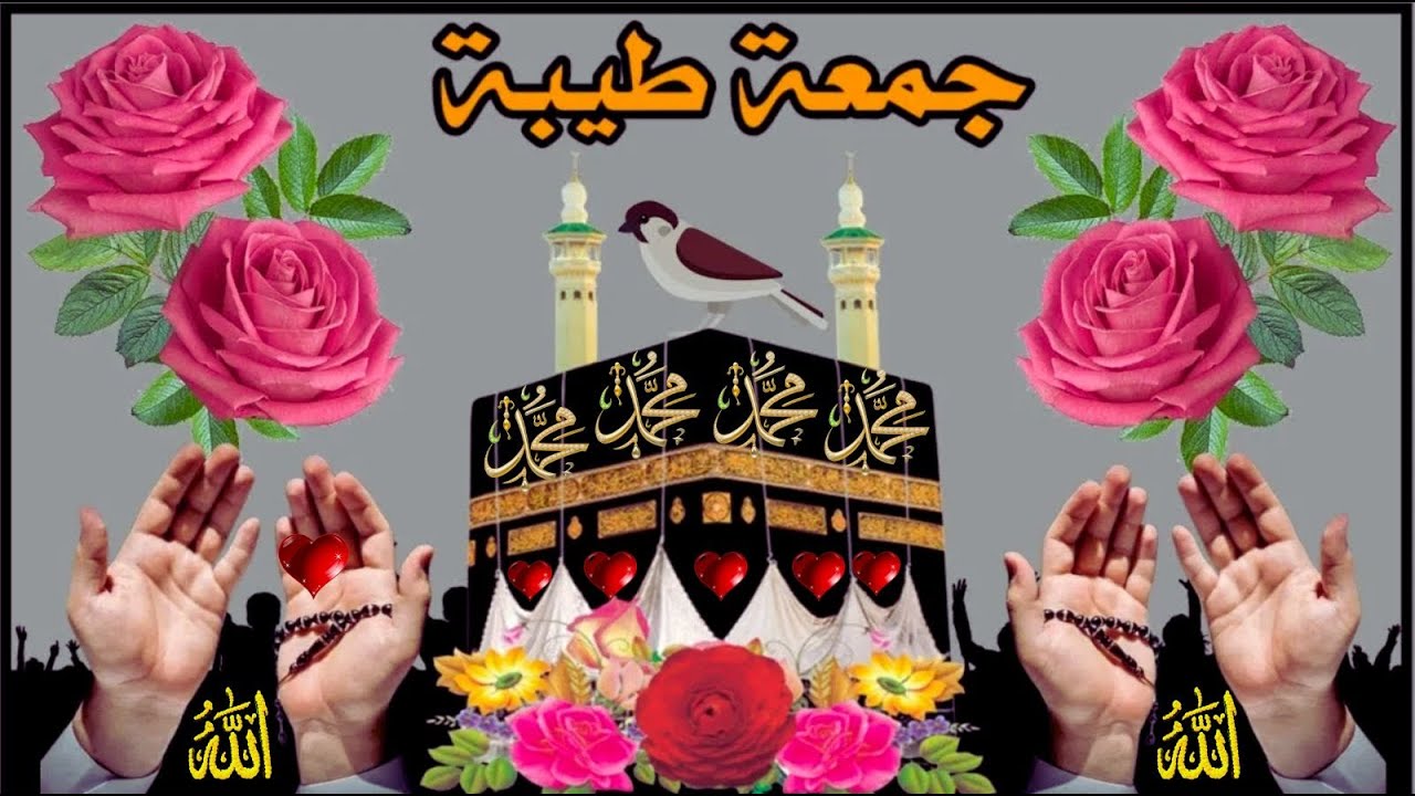 🤲🌟اللهم إنا نسألك  في يوم الجمعة عفواً يكفينا وعافية تغنينا، ومقاماً في الفردوس يعلينا 🤲