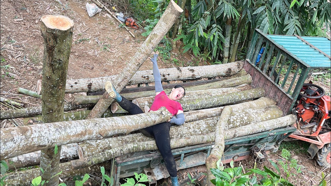 cut wood and transport it by agricultural truck
