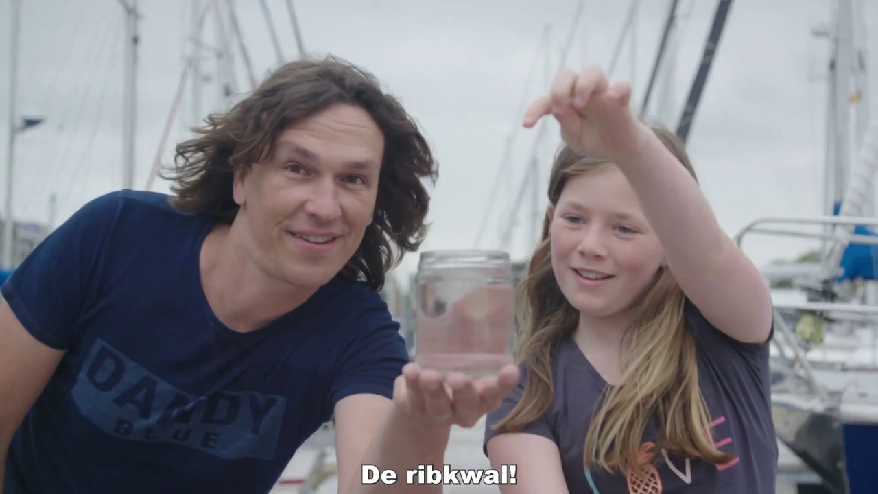 Bruisend water: welke dieren zitten er in de haven van Zeebrugge?