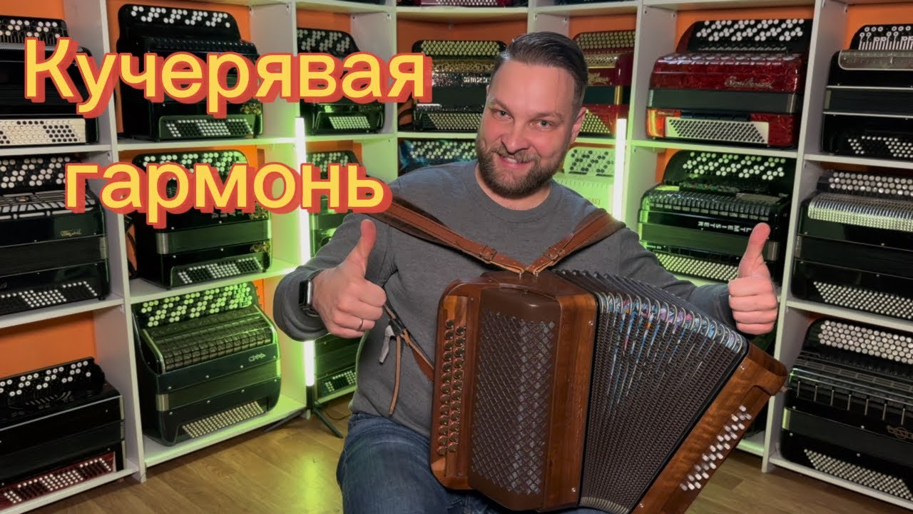 Кучерявая гармонь