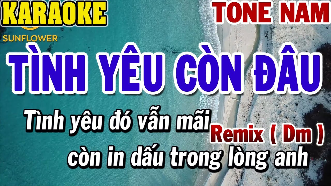 Karaoke Tình Yêu Còn Đâu Remix Tone Nam Disco ( Dm ) | 84