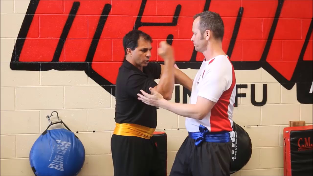 Mantis Kung Fu - Sifu Matthew Hansen - Tonglong