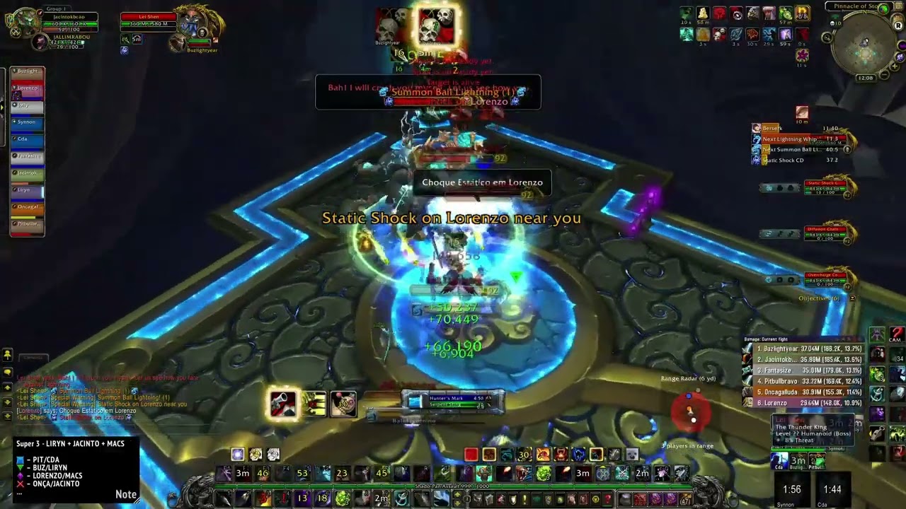 Lei Shen 10 Heroic - Throne of Thunder - Survival Hunter POV