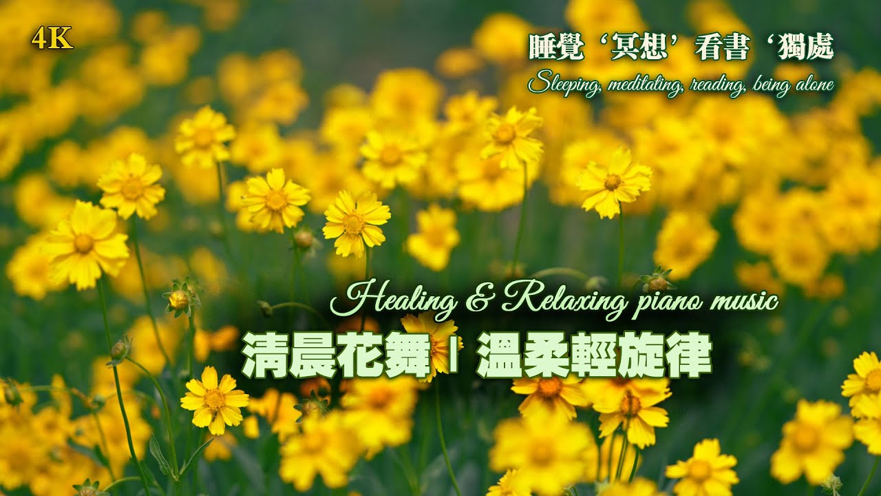 4K【100%无广告】🌹 花香日光 · 柔和心靈音樂 Floral Sunlight · Soft Piano for Peace #好聽的鋼琴音樂 #relax #flowers #music