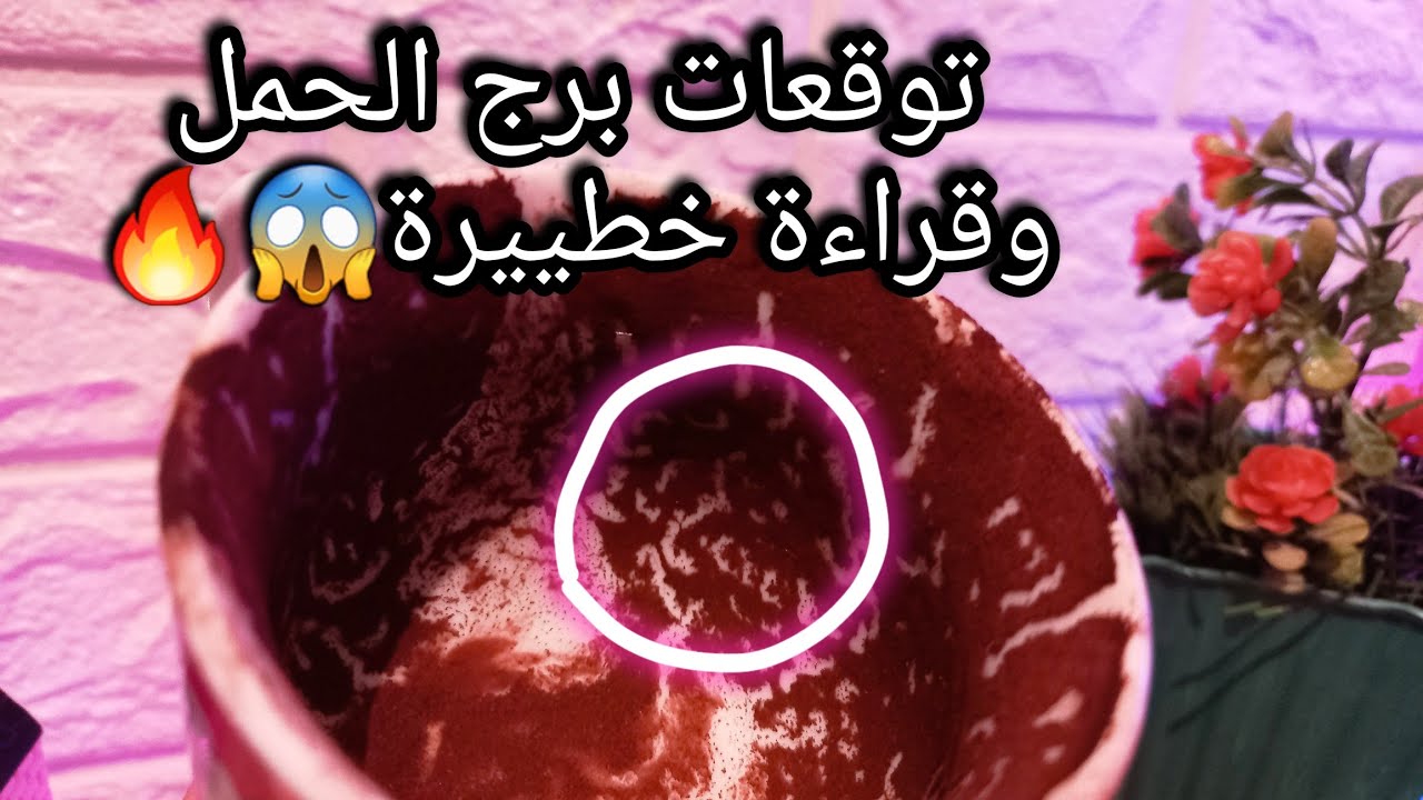 توقعات برج الحمل♈️من24الي1فبراير❤️المجازفه دي مش هتفيدك❌️ده خير ليك وشر لغيرك💰حبيب شايفك ظلمو🤷‍♀️حرف