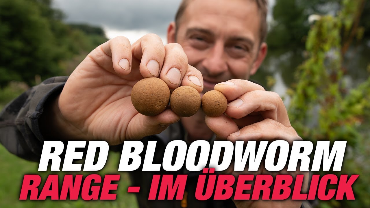Red Bloodworm Range im Überblick | Boilie mit roten Zuckmückenlarven 🪱 | Robin Illner | P.R. Baits