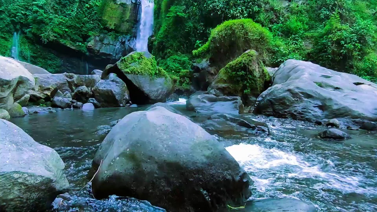 Calming River Flow for Deep Sleep  Soothing Water Sounds for Insomnia