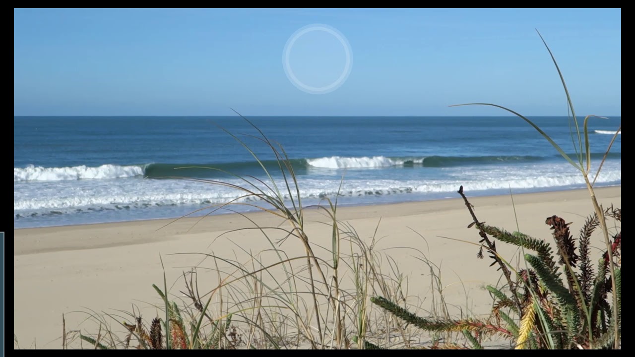 Cohérence cardiaque - Plage et végétation des dunes