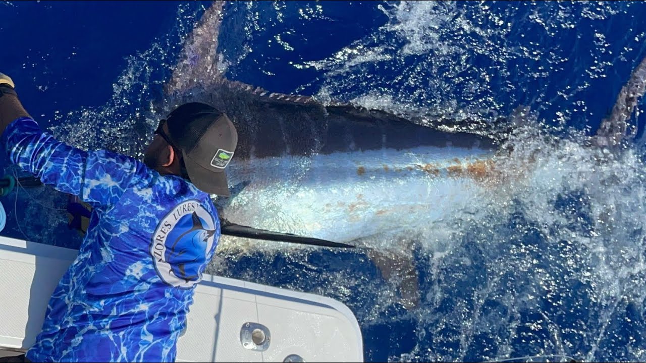 ISLAND OF GIANTS /Blue Marlin FISHING/ Pico Azores - Atlantic Ocean