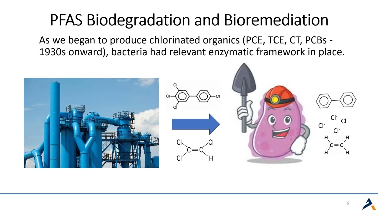 Prospects for PFAS Bioremediation  Inherent Limitations and Reasons for Optimism