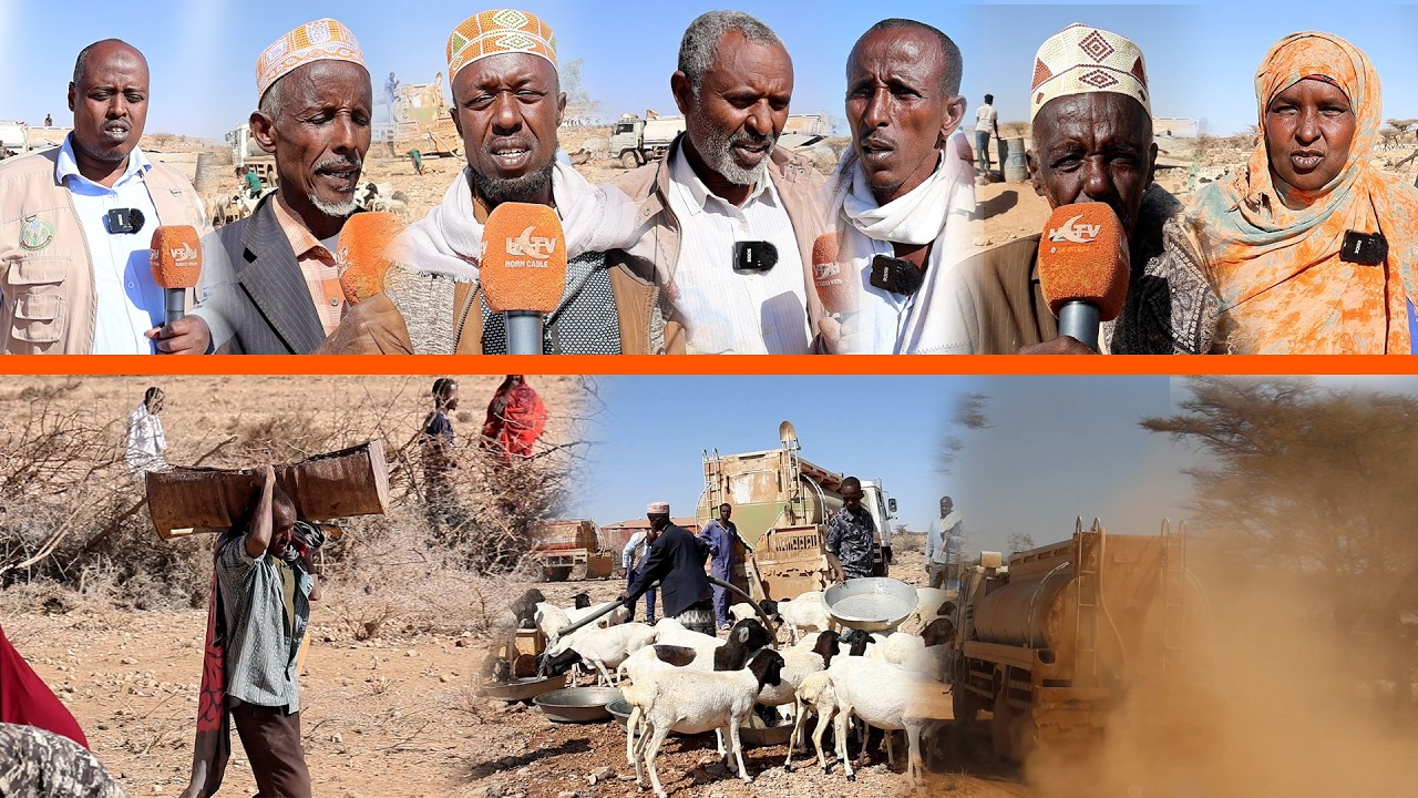 Ururka Hawenka Hoodaale Ee Fadhigisu Yahay Denmark Ayaa Gurmad Biyo Dhamisa Usodiray Dadka Abaraysan